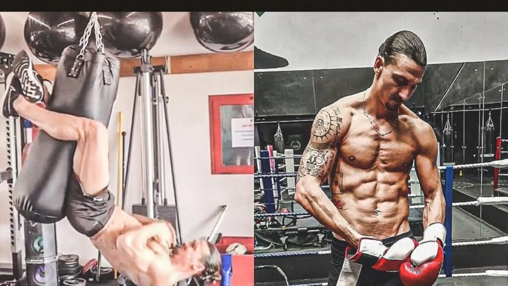 Zlatan Ibrahimovic Tidak Punya Pengaruh untuk AC Milan di Bursa Transfer Musim Panas 2025